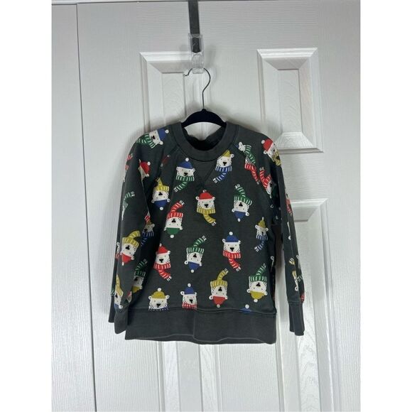 Hanna Andersson sweatshirt size 100 US 4 - Picture 1 of 2